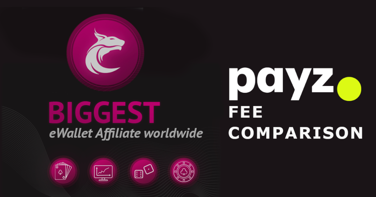 Payz Fee Comparison