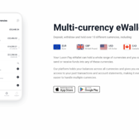 LuxonPay Review Multi Currency